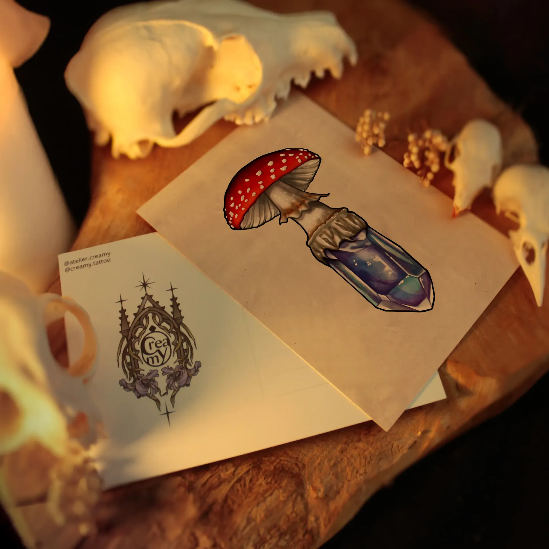 "magic shroom 2" - carte