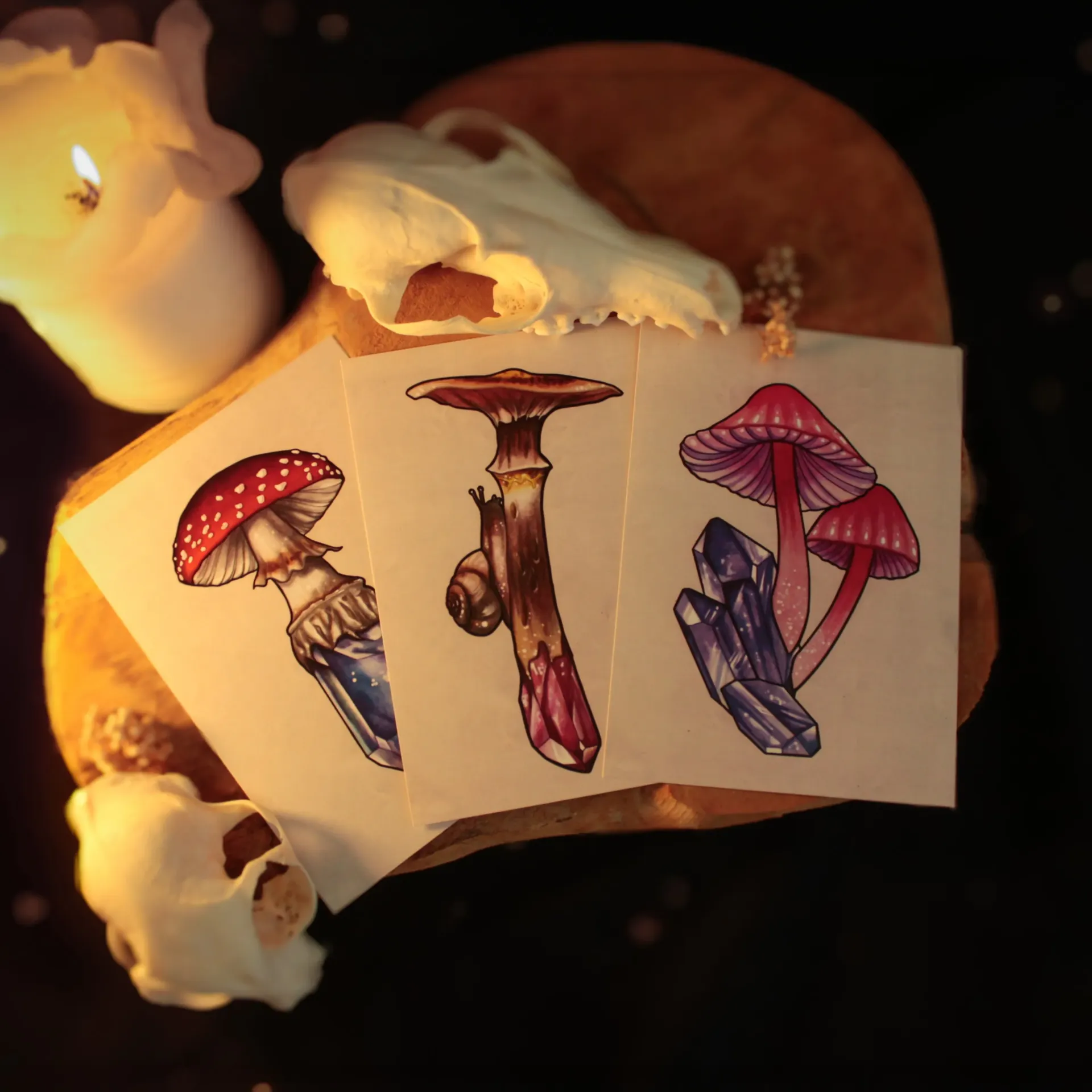 "magic shrooms" - trio de cartes